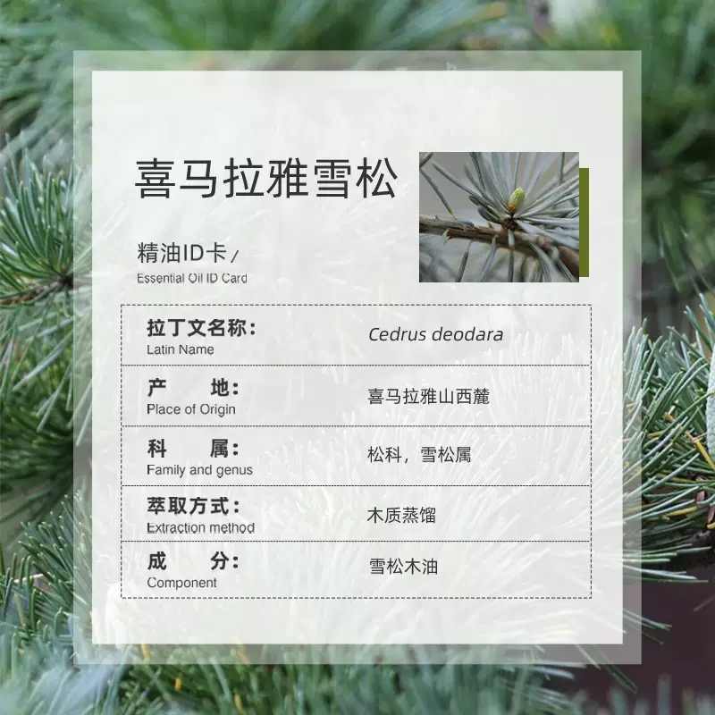 OZSPA喜马拉雅雪松精油