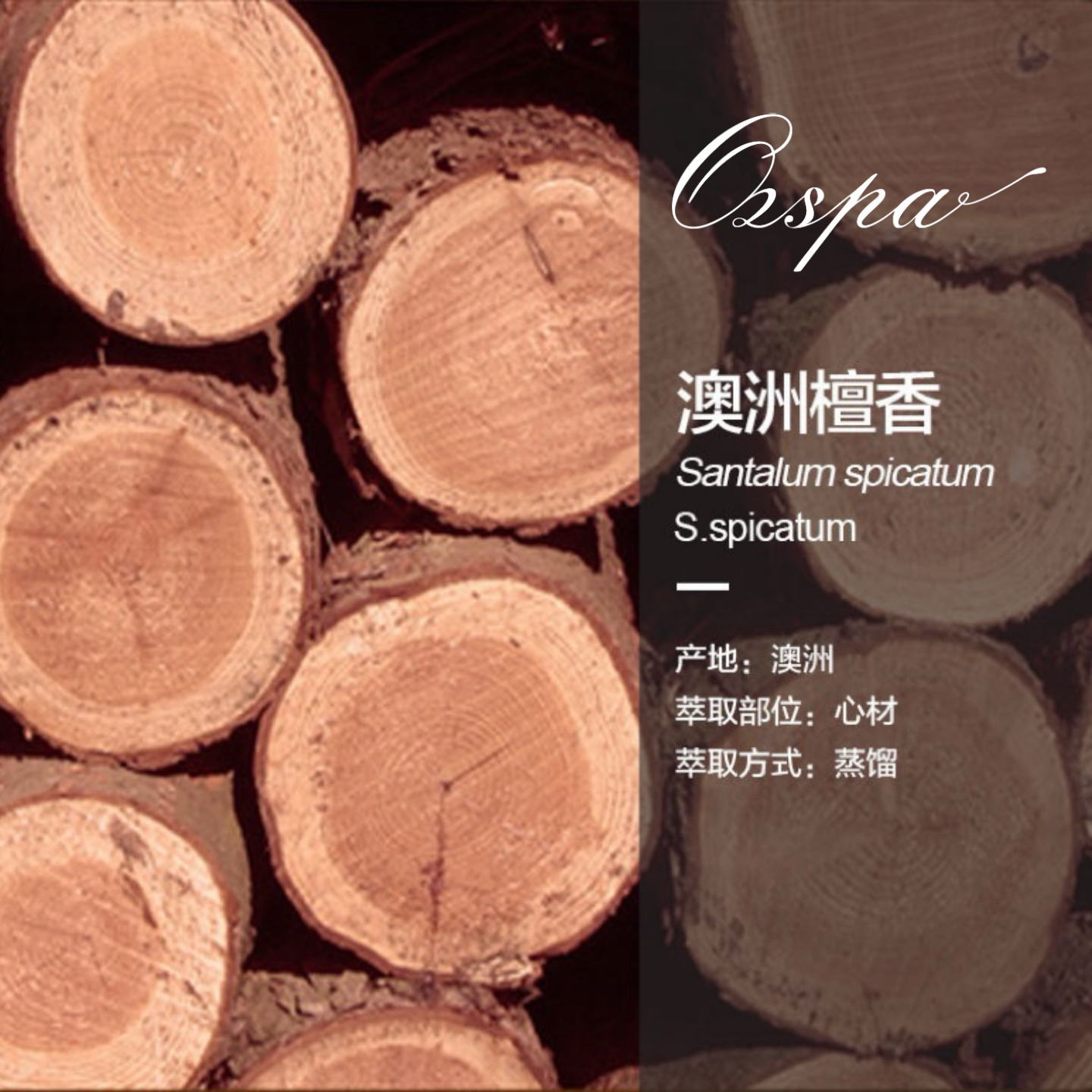 OZSPA澳大利亚檀香精油