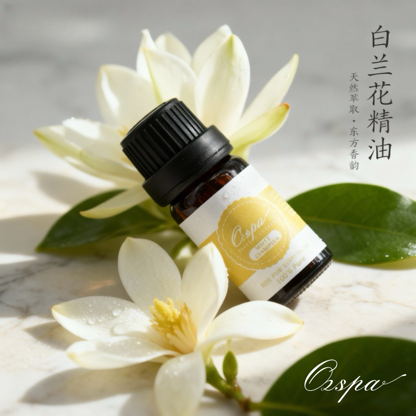 OZSPA白兰花精油