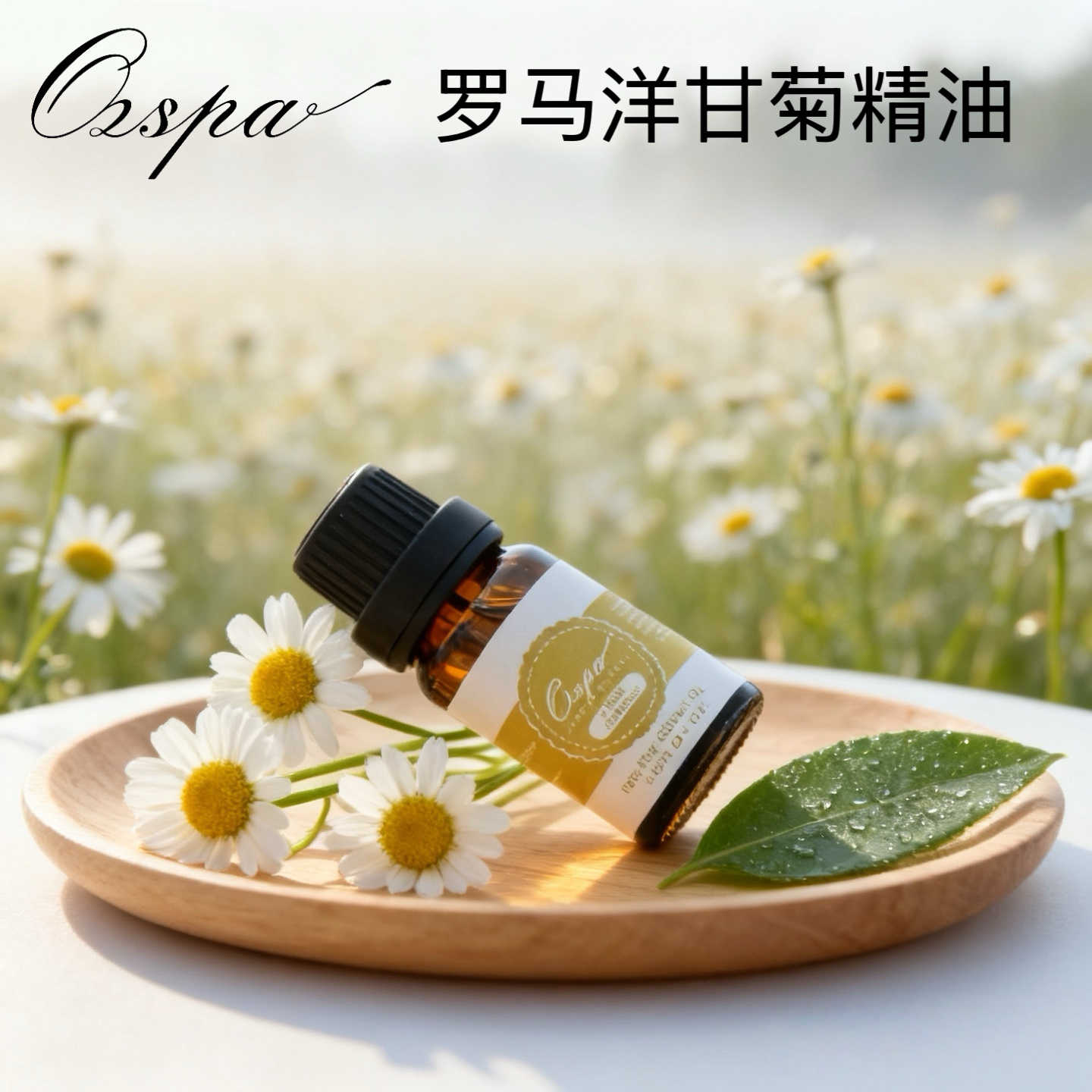 OZSPA罗马洋甘菊精油