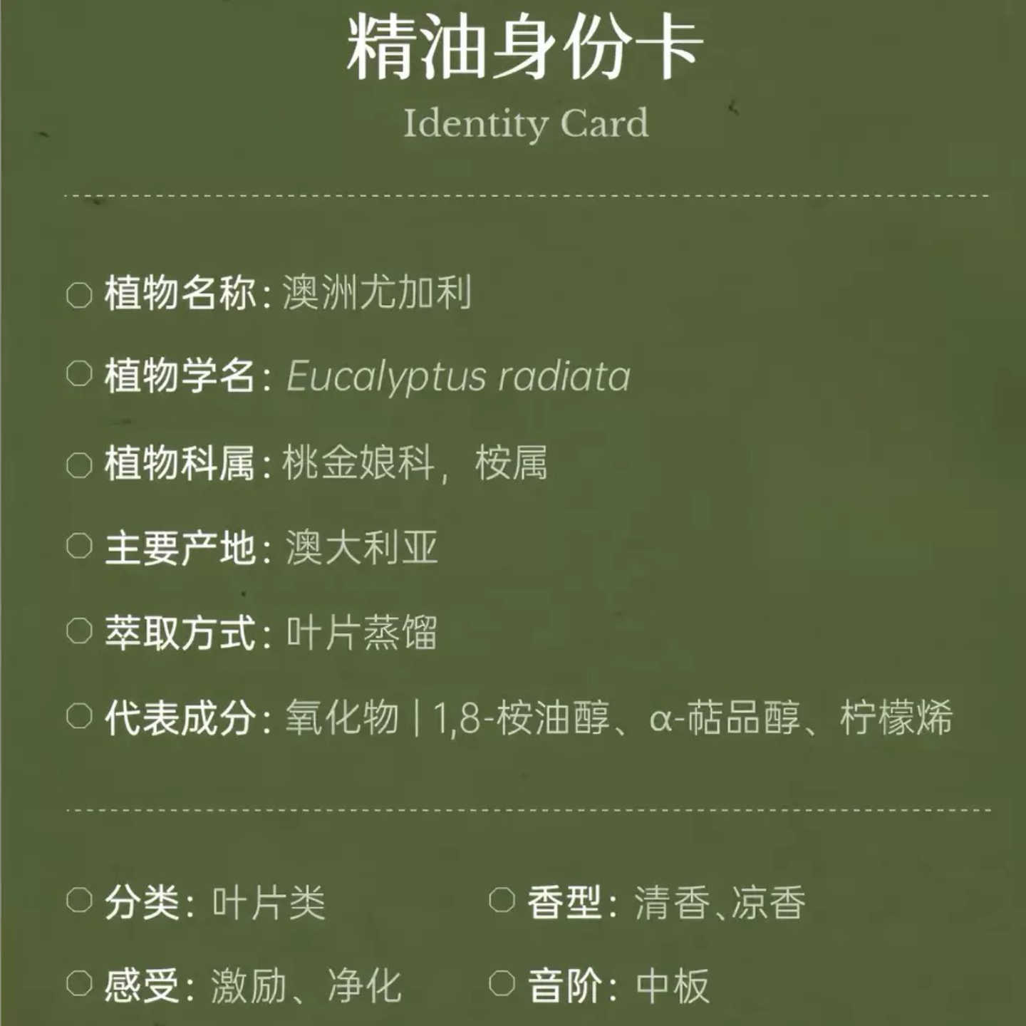 OZSPA尤加利精油