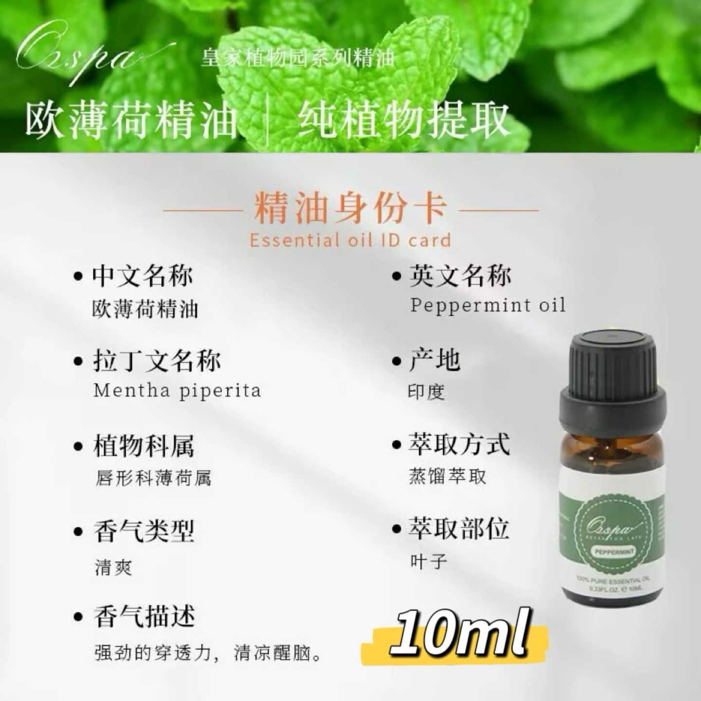 OZSPA欧薄荷精油
