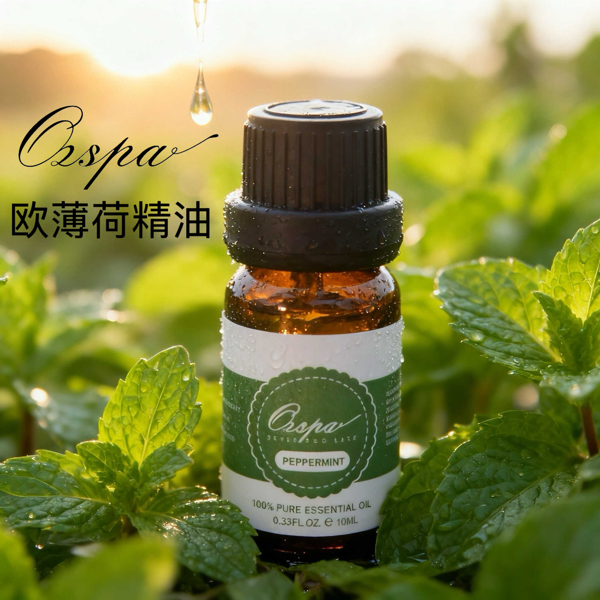 OZSPA欧薄荷精油