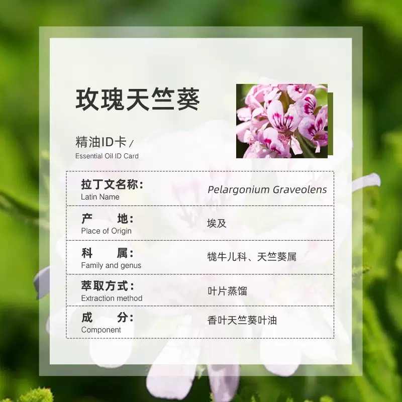 OZSPA玫瑰天竺葵精油